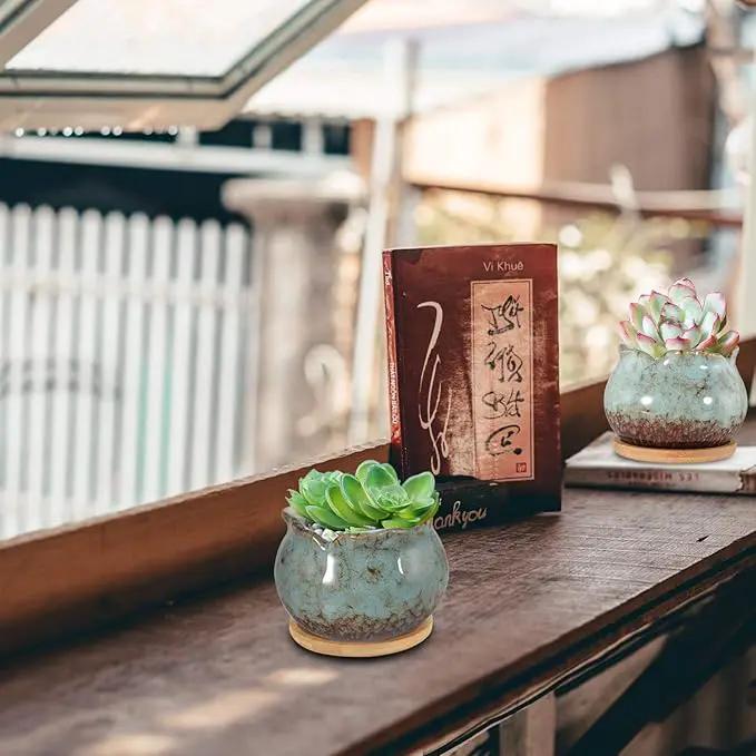 Laerjin Succulent Pots, 4 Inch Ceramic Plant Pots and Drainage Hole with Bamboo Tray, Colorful Flower Planter Pot, Pack of 6, Plants Not Included by GreenHaven Gardens