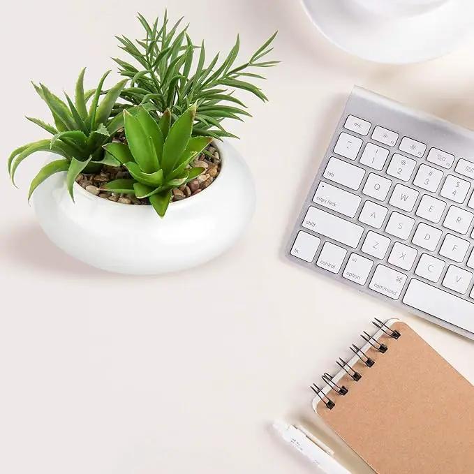 Hollyone Large Artificial Succulents Plants Faux Succulents in Pots Fake Succulent Plastic Potted Plants with White Ceramic Pot for Home Decor Office Desk Bathroom Shelf Living Room Decoration by GreenHaven Gardens