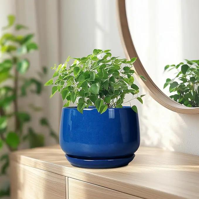 G EPGardening Round Ceramic Plant Pots - 7 Inch Modern Planter with Drainage and Plant Saucer for Indoor Outdoor Flower, Round Office Decor, New Gifts for Home, Blue by GreenHaven Gardens