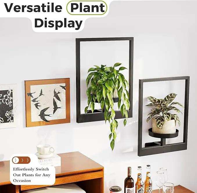 Bamworld Wall Planters for Indoor Plants Metal Wall Plant Holder Plant Hanger Wall Decor Wall-Mounted Wall Hanging Planters Outdoor Plant Rack Black 2 Pack (Patent Design) by GreenHaven Gardens