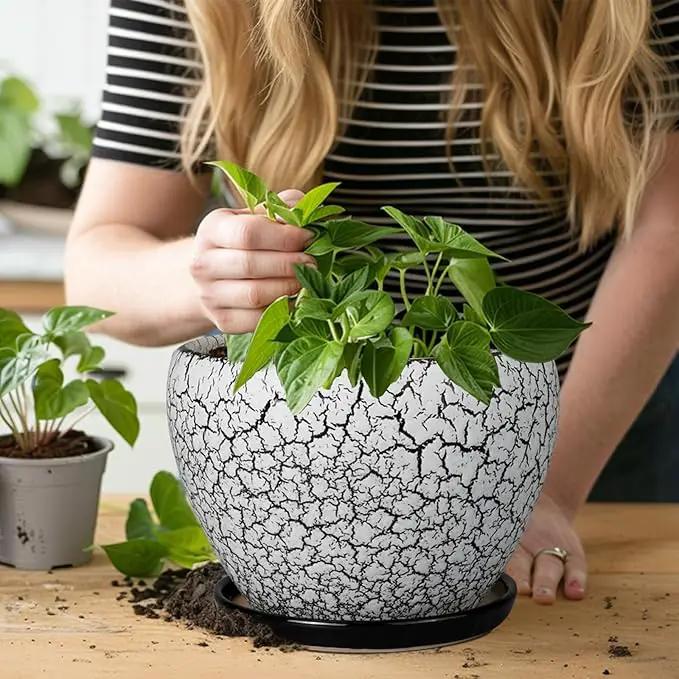 Ceramic Plant Pot 8 Inch - Ceramic Planter for Indoor Plants, Round Flower Pot with Drainage Hole and Saucer, Glaze White and Black by GreenHaven Gardens