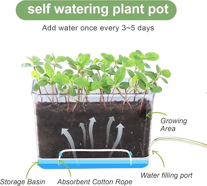 Self Watering Planters for Indoor Plants, 4 Pack Rectangular Clear Plant Pots with Drainage Holes for Spider Plant African Violet, Plant Growth Observations Plant Box for Kids by GreenHaven Gardens