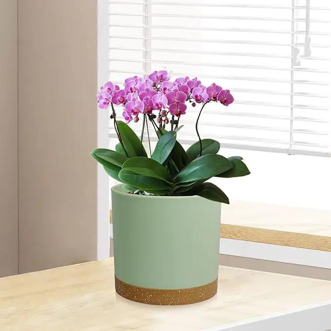 3 Pack 6/5/4 inch Cylindrical Flower Pots, Modern Small Round Plastic Plant Pots with Drainage Holes & Saucers, Clean and Refined Planter Pots for Outdoor, Indoor & Office Decor (Green Brown) by GreenHaven Gardens