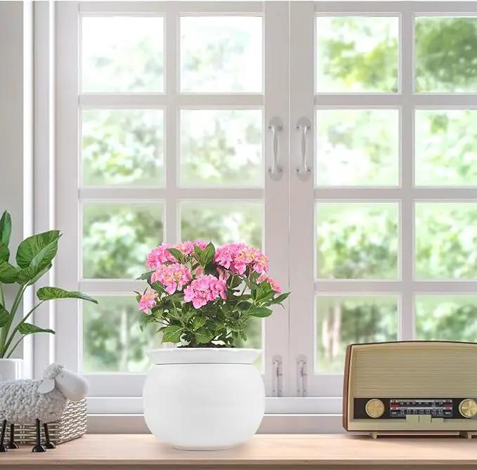 African Violet Pots, 6 inch Ceramic Easy Self Watering Plant Pot for Busy Plant Lovers, Automatically Absorb Appropriate Amount of Water, Flower Pot Indoor-Plants Not Included by GreenHaven Gardens