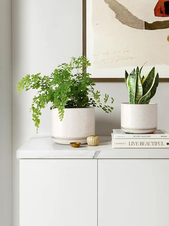 LE TAUCI Ceramic Plant Pots, 4.3+5.3+6.8 inch, Set of 3, Planters with Drainage Hole and Saucer, Indoor Flower Pot with Hole Mesh Pad, Gifts for Mom, Reactive Glaze Beige by GreenHaven Gardens
