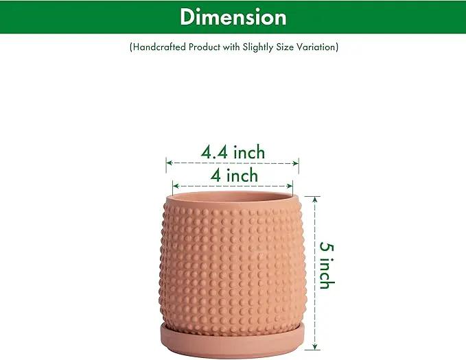 D'vine Dev Set of 2 Ceramic Plants Pots, 4 Inch Beaded Stoneware Flower Pot for Plants with Drainage Hole and Saucer, Terracotta, 27-E-Z-7 by GreenHaven Gardens
