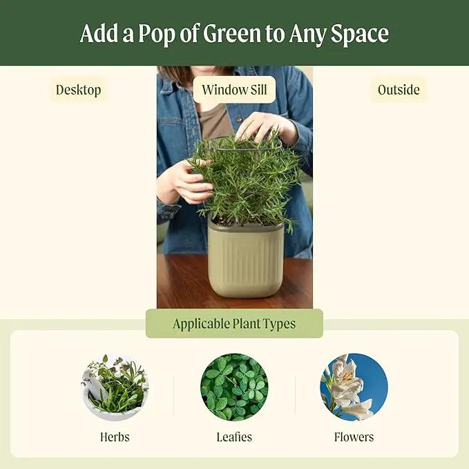 Vego garden Mini Planter Indoor Pots with Trellis Self-Watering Herb Countertop Planter for Climbing Vegetables Flowers Mint Plants Cage- Cream White by GreenHaven Gardens