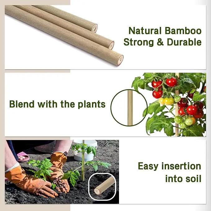 Plant Stakes,12 Inches Natural Garden Bamboo Sticks,BOVITRO 20Pcs Plant Support Stakes for Tomatoes,Beans,Vegetable and Potted Plants by GreenHaven Gardens