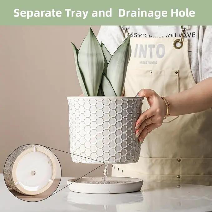 8 Inch Plant Pot: Ceramic Planter with Drainage Hole & Saucer - Flowerpot for Indoor & Outdoor Plants with Separate Tray for Home & Office - Honeycomb Design, Cream White by GreenHaven Gardens