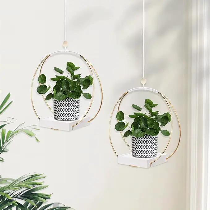 2 Pack Hanging Planter Holder for Indoor Plants, Plant Hanger with Sturdy Wood Base,Modern Boho Macrame Wall Ceiling Window Stands(Plants/Pots Not Included) by GreenHaven Gardens