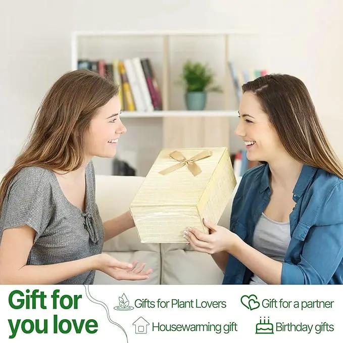 Plant Propagation Stations Heart Plant Terrarium Kit Gift for Women Plant Lover Glass Vases by GreenHaven Gardens