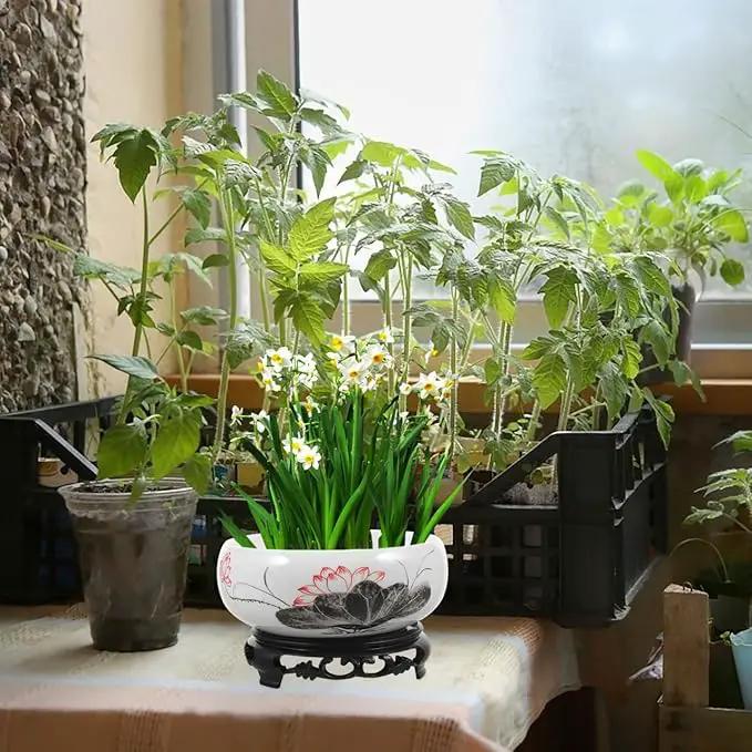 Ceramics Water Lily Bowl with Stand Chinese Style Hydroponic Planter Pot Round Narcissus Flowerpot Bonsai Daffodil Planting Container Garden Decoration 7 Inch by GreenHaven Gardens