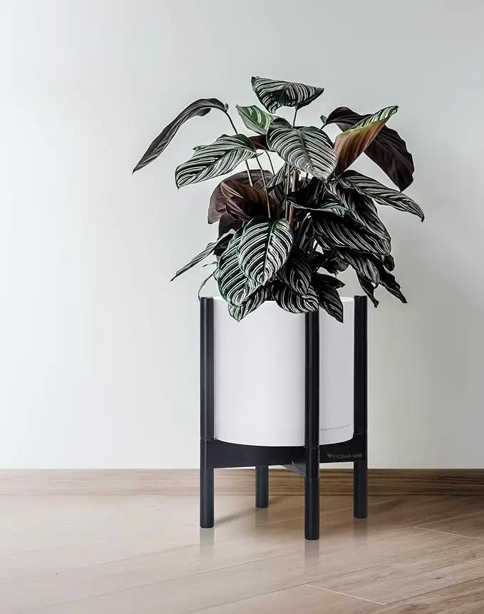 D'vine Dev Planter Pot with Stand - 10 Inch Plastic Cylinder Flower Pot with Wood Planter Holder for Indoor, Matte White Pot + Ebony Stand, 55-C-N-1 by GreenHaven Gardens