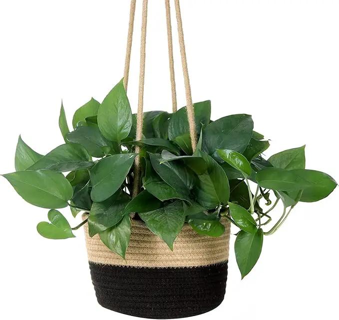 Hanging Planter Basket Jute Rope Woven Plant Hangers Indoor Hanging Plant Holder Up to 7" Pot Macrame Modern Storage Organizer Home Decor (Jute-Black) by GreenHaven Gardens