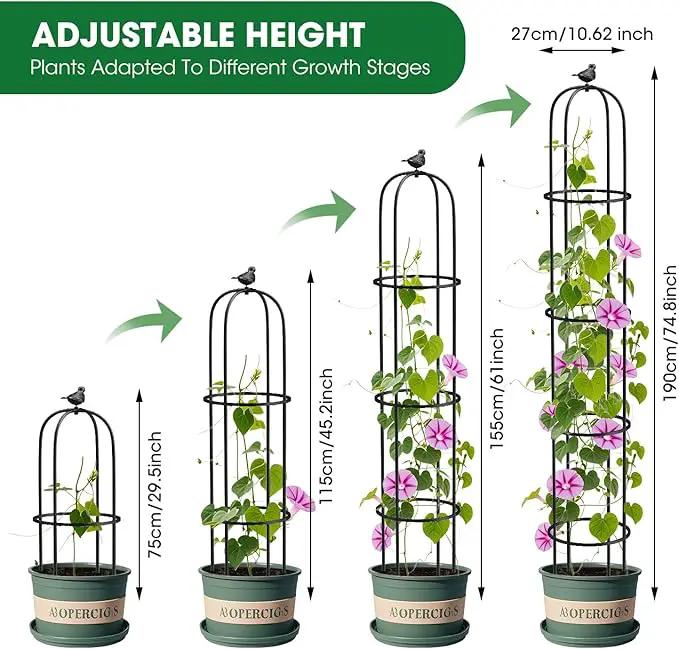 Garden Obelisk Trellis for Climbing Plants Outdoor 6.2 Ft Rose Bush Round Trellis for Pots Rustproof Metal Plant Flower Trellises for Clematis Vine Jasmine Support Outdoor Indoor (Black, 6.2ft) by GreenHaven Gardens
