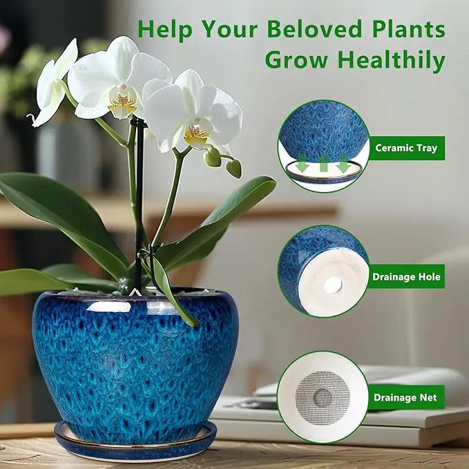 Ceramic Modern Glaze Succulent Planter Pot with Drainage Hole and Saucer 6 Inch Round Flower Plant Pot for Indoor Outdoor Herb Snake Plants by GreenHaven Gardens