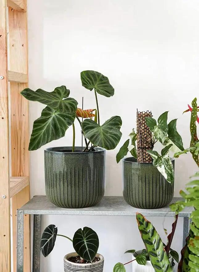 LE TAUCI Ceramic Planters for Indoor Plants, 8.3+6.9+5.7 inch Plant Pots with Drainage Holes, Cylinder Flower Pot for Indoor House Plant, Set of 3, Glaze Dark Olive by GreenHaven Gardens