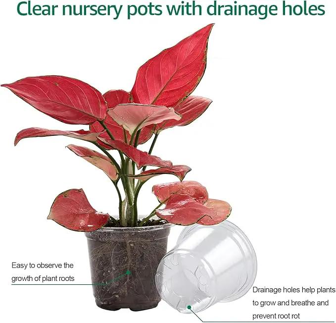 30 Packs 4 Inch Reinforced Clear Nursery Pots with Humidity Dome, Transparent Variety Pack Plastic Plant Pot Seedling Planter Seed Starter Flower by GreenHaven Gardens