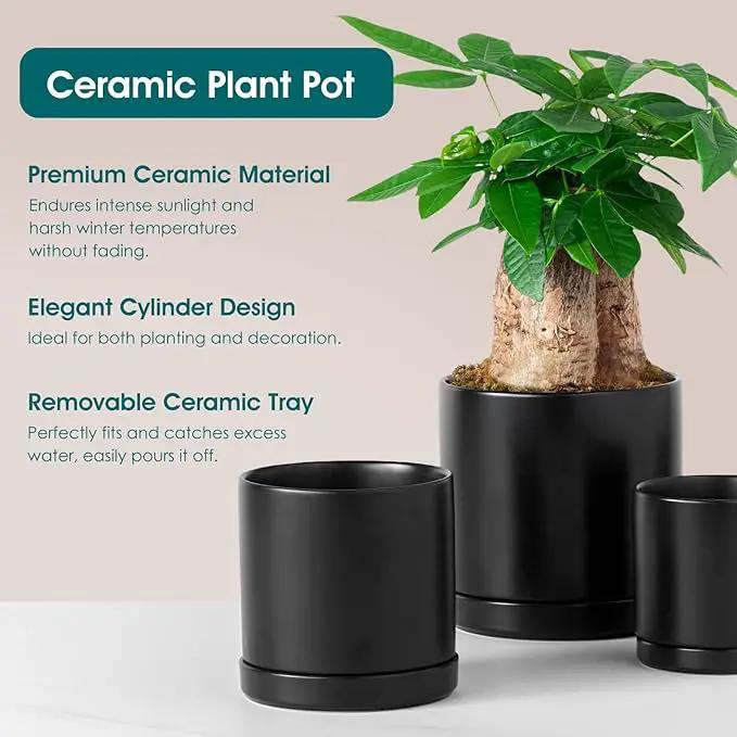 vancasso Ceramic Plant Pots, 3 Piece Planters for Indoor Plants, 4.25+5.25+6.25 Inch Flower Pots with Drainage, Plant Pots Indoor for Succulent, Pothos, Snake Plant and Money Tree, Etc (Black) by GreenHaven Gardens
