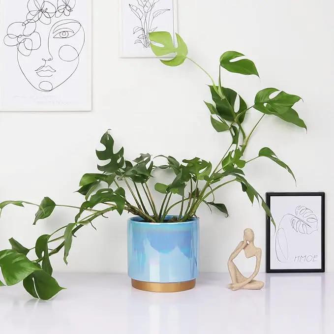 Gepege Ceramic Pots for Plants, Rainbow Pearl Glaze Planter with Drainage Hole, 6.0 inch+5.0 Inch+4.0 Inch. Indoor-Outdoor Large Round Succulent Orchid Flower Pot by GreenHaven Gardens