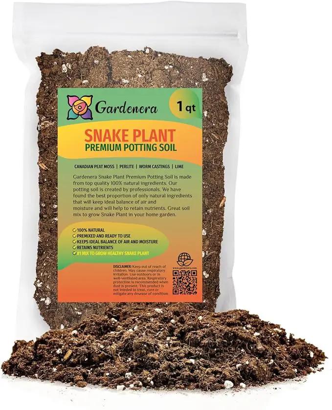 Premium Snake Plant Potting Soil Mix, Green Sansevieria Trifascatia Zeylanica Plants, Plant or Re-Pot Your Snake Plant - (1 Quart Bag) by GreenHaven Gardens