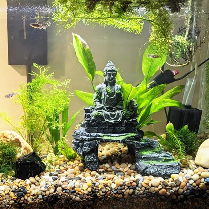 Rocks for Plants 5 Lbs, 0.8-1.5 Inch High Polished Pebbels, Decorative Stones for Garden Landscaping, Smooth Gravel Filler for Outdoor Plants, Succulents, Fish Tank and Vases by GreenHaven Gardens
