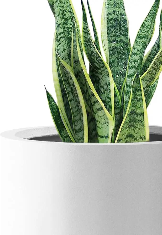 Kante 9.8" Dia Round Concrete Planter, Modern Style Large Cylindrical Plant Pot with Drainage Hole and Rubber Plug for Indoor Outdoor Patio, Pure White by GreenHaven Gardens