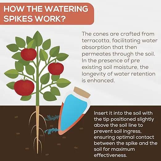 Plant Watering Globes - Olla Terracotta Watering Spikes - Hold 16 Ounces - Olla Water System for Plants - Self Water Method - Slow Releaese Drip Irrigation Terracotta Stakes by GreenHaven Gardens