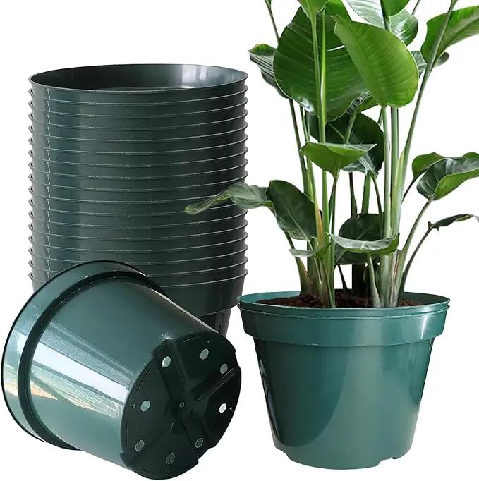 DAPERCI RooTrimmer 8 inches Nursery Pot Plant Grow Sturdy Flower pots in Bulk Price 20P by GreenHaven Gardens