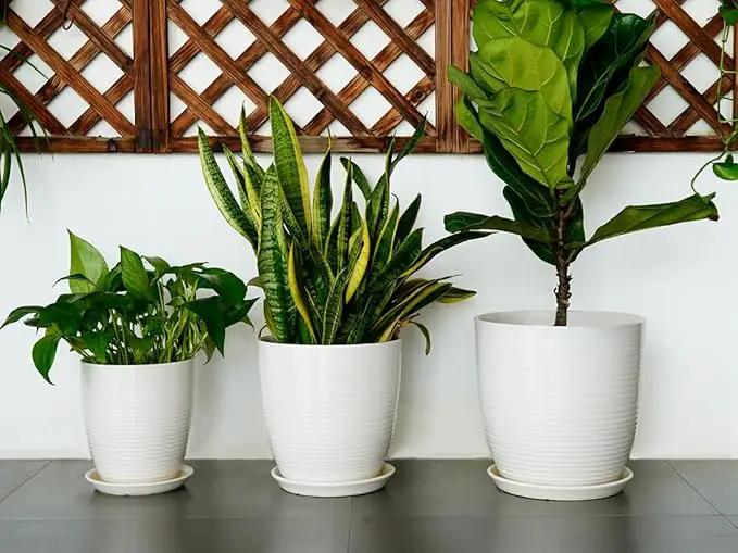 12 Inch Ceramic Planter Pot, Large Planter Pot with Drainage Hole and Saucer Round Flower Pot for Indoor Outdoor Plants, White by GreenHaven Gardens