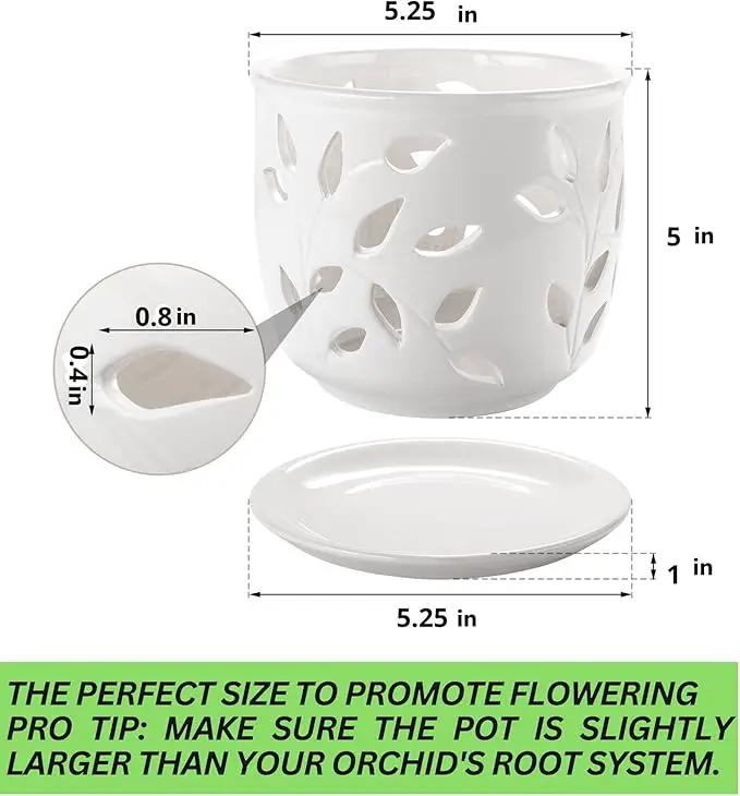 Orchid Pot with Holes & Saucer Ceramic 5.25 in. Indoor or Outdoor Large Pot for Orchid Care & Root Health with Precise Aeration & Drainage – Durable for Repotting or New Plants by GreenHaven Gardens