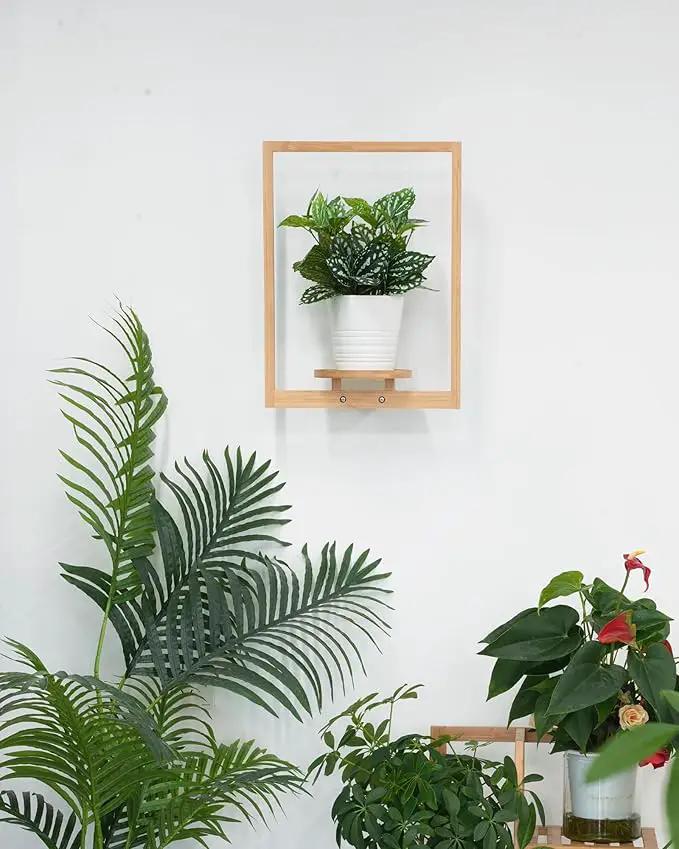 yadoker Wall Planters for Indoor Plants,Bamboo Hanging Plant Holders, Wall Decor Plant Stand, 1-Pack Window Plant Shelves for Living Room & Entryway by GreenHaven Gardens