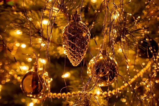 Outdoor String Lights, 300 LED 108Ft Christmas Light with Remote, 8 Lighting Modes, Powered Plug for Wedding Party Garden Tree Yard Indoor Decorations, Warm White by GreenHaven Gardens