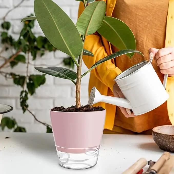 Hayder Plant Pots 6 inch Set of 6, Self Watering Flower Pots Indoor Outdoor, Self Watering Planters with Drainage Hole & Clear Saucer Reservoir by GreenHaven Gardens