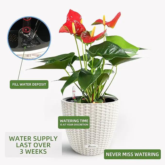 Dexceder 11x10 Inches Rattan Self Watering Planter Indoor Outdoor, Inner Pot Design, Thickened Table Flower Plant Pot with Water Level Indicator (Ivory White) by GreenHaven Gardens