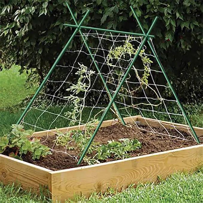 72inch Garden Stakes for Plants Tree Stakes Fence Post Fiberglass Rod 6 Feet, 50 Packs, 3/8-Inch Dia by GreenHaven Gardens