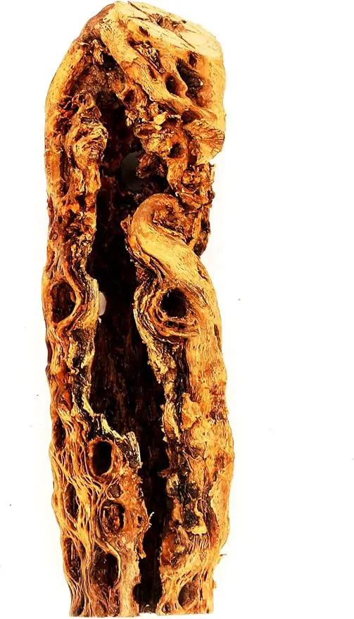 Natural Cholla Wood Chunk Large Air Plant Display Holders Individually Unique Decorative Stands or Holder (Cholla Chunk Extra Large) by GreenHaven Gardens