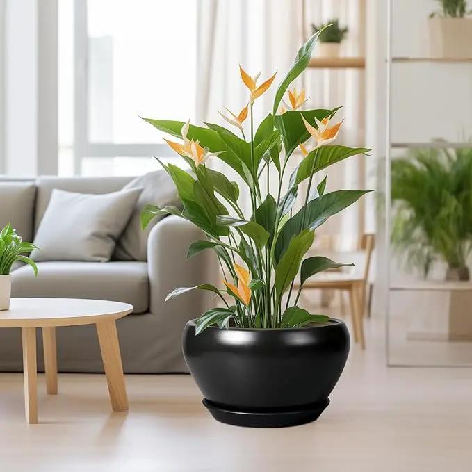 Ceramic Pot for Plants Large - 13 Inch Plant Pot Indoor with Drainage Hole and Saucer Round Planter Decorative Planter Outdoor Flower Pot for House Decor Balcony Black by GreenHaven Gardens