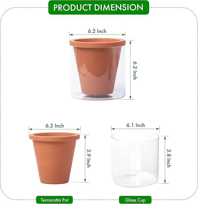 D'vine Dev 6 Inch Design Self Watering Pot for Indoor Plants, Terracotta Planter with Cylinder Glass Cup, 37-X-B-1 by GreenHaven Gardens