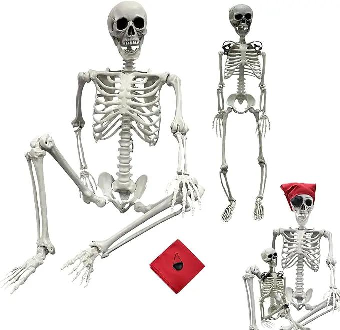 5.4ft/165cm Halloween Skeleton - Life Size Skeleton Full Body Realistic Human Bones with Posable Joints for Halloween Pose Skeleton Prop Decoration (5.4Ft&3Ft) by GreenHaven Gardens