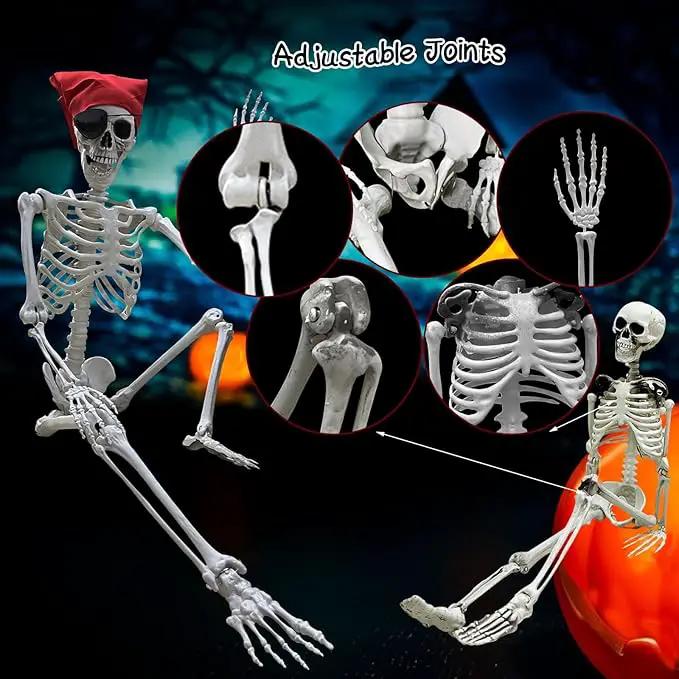 5.4ft/165cm Halloween Skeleton - Life Size Skeleton Full Body Realistic Human Bones with Posable Joints for Halloween Pose Skeleton Prop Decoration (5.4Ft&3Ft) by GreenHaven Gardens