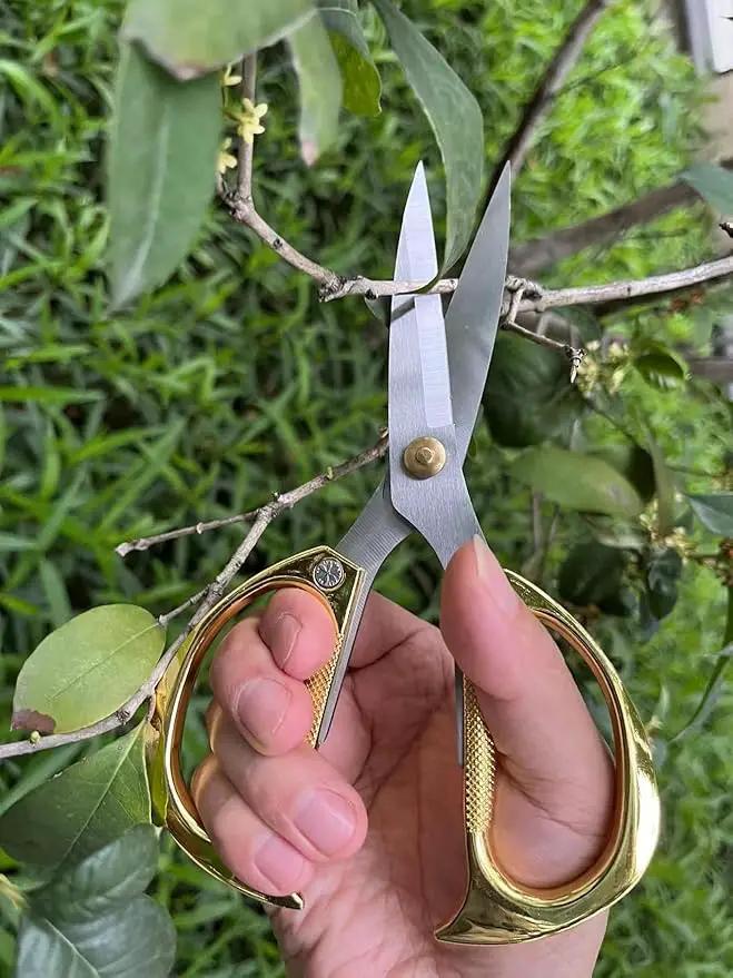 Indoor Plant Shears and Garden Scissors, Houseplant Shears Made of Japan SK5 Stainless Steel, Flowers Herbs and Plant Cutters, Clippers, Trimmers, Loppers, Bonsai Plant Pruning Scissors by GreenHaven Gardens