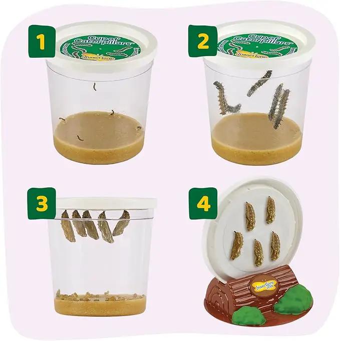 Insect Lore Butterfly Garden with 5 Live Baby Caterpillars - STEM Activity Journal, Habitat, Chrys-A-Lid Holder and Feeder Included | Raise and Release Painted Lady Butterflies by GreenHaven Gardens