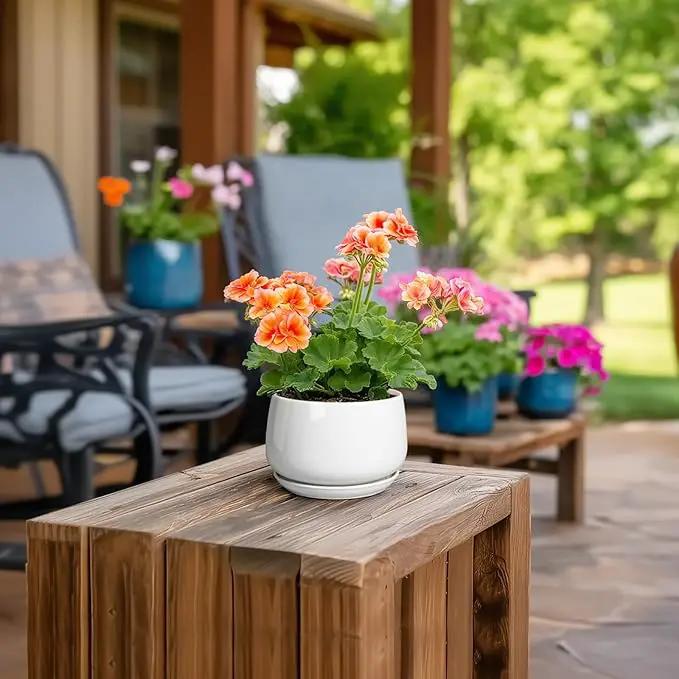 G EPGardening Ceramic Plants Pots - 4 inch Succulent Pots for Indoor Outdoor, Small Planter with Drainage Hole & Saucer, Round Planter, Modern Flower Pot, Office Decor, Plant Lovers Gifts, White by GreenHaven Gardens