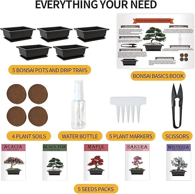 5 Bonsai Tree Kit Complete Plant Growing Tools, Grow in Pot Indoor Bonsai Tree Starter Kit, Great Home Gardening Potted Plants DIY Gift for Adults by GreenHaven Gardens