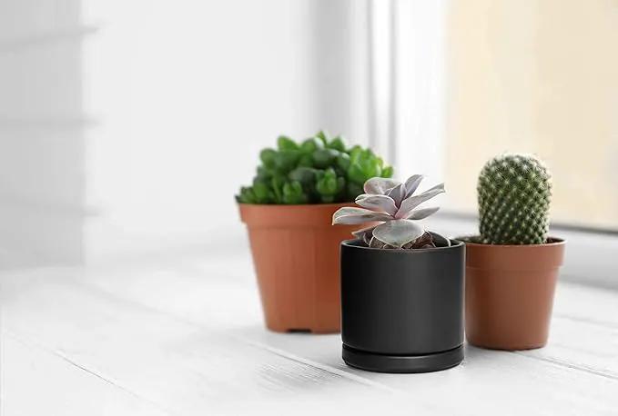 D'vine Dev Set of 2 Plants Pot, 4.6 Inch Ceramic Planter Pot for Plants with Drainage Hole and Saucer, Black, 94-V-B-2 by GreenHaven Gardens