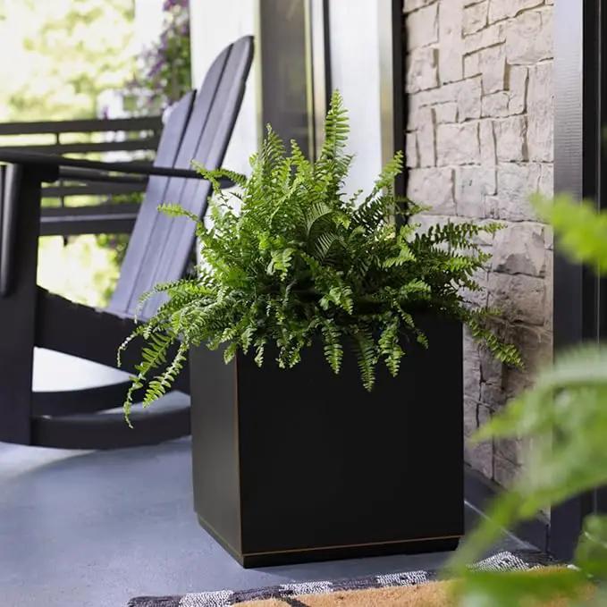 Metallic Heavy Cube Planter Box, No Assembly Required, Seamless Large Black Outdoor Planter 17”Lx17”Wx20”H 24Pounds Black with Hand Brushed Gold Rim by GreenHaven Gardens