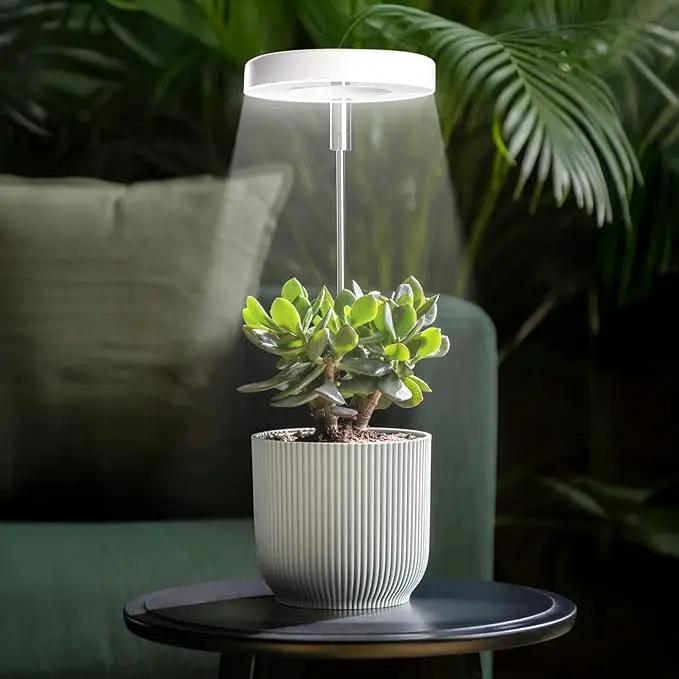Grow Lights for Indoor Plants Small Potted - Full Spectrum, Auto 3/9/12H Timer, 10-Level Dimming & Adjustable Height - Compact Grow Light for Succulents, Herbs, Foliage in Home/Office (White,1PACK) by GreenHaven Gardens