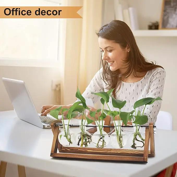 Plant Propagation Station, Propagation Vases for Plants, Unique Gardening Birthday Gifts for Women Plant Lovers Mom Best Friend - 5 Bulb Glass Vases by GreenHaven Gardens