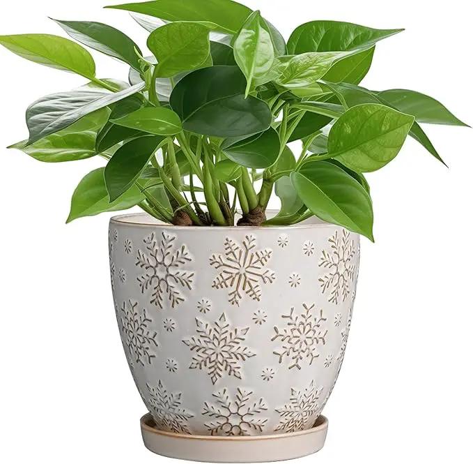6.9 Inch Plant Pot with Drainage Hole and Saucer Ceramic Planter for Indoor Plant Flower Pot for Orchid Succulents Plants White by GreenHaven Gardens
